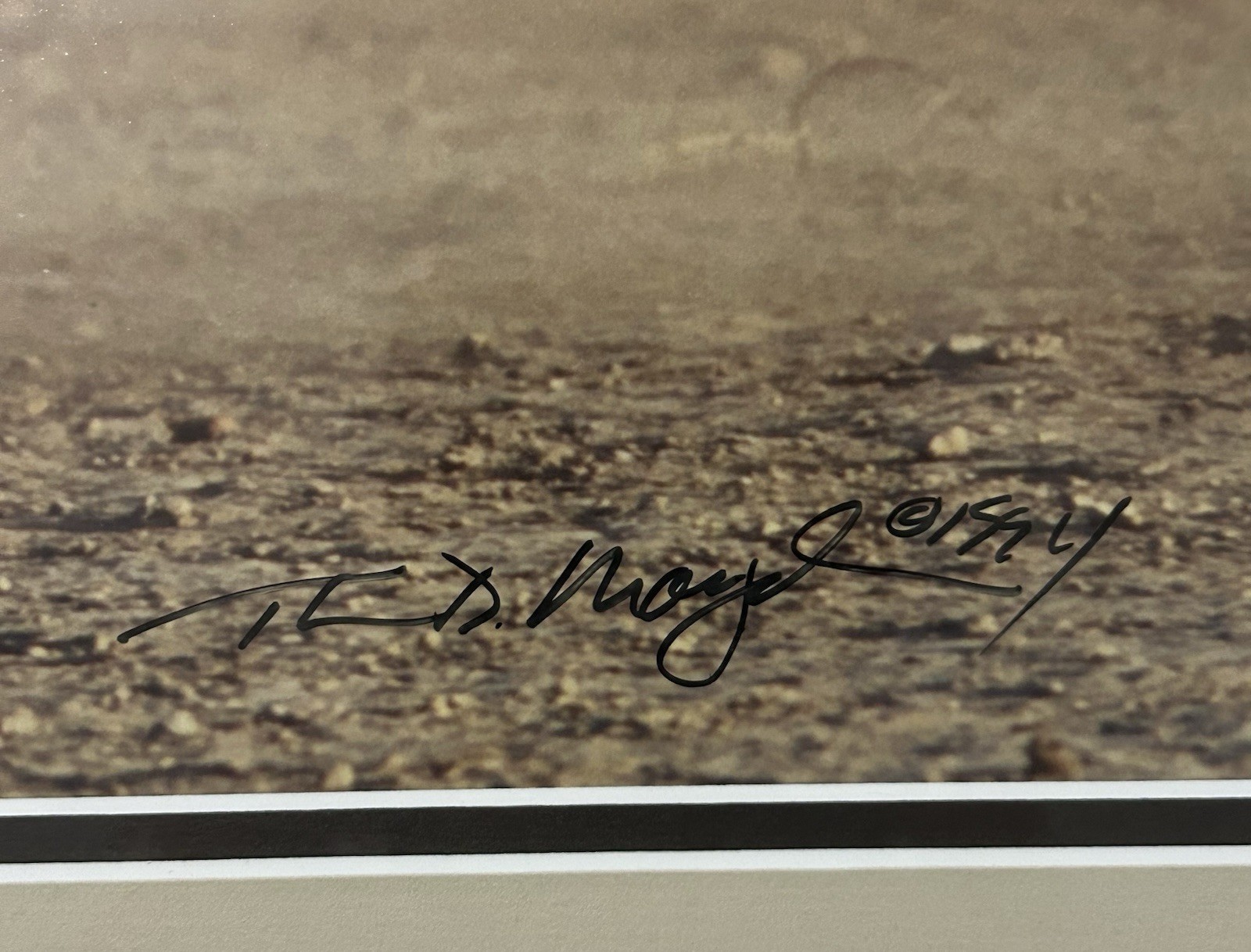 Thomas Mangelsen – Amboseli Crossing (16×20) In Gallery Frame