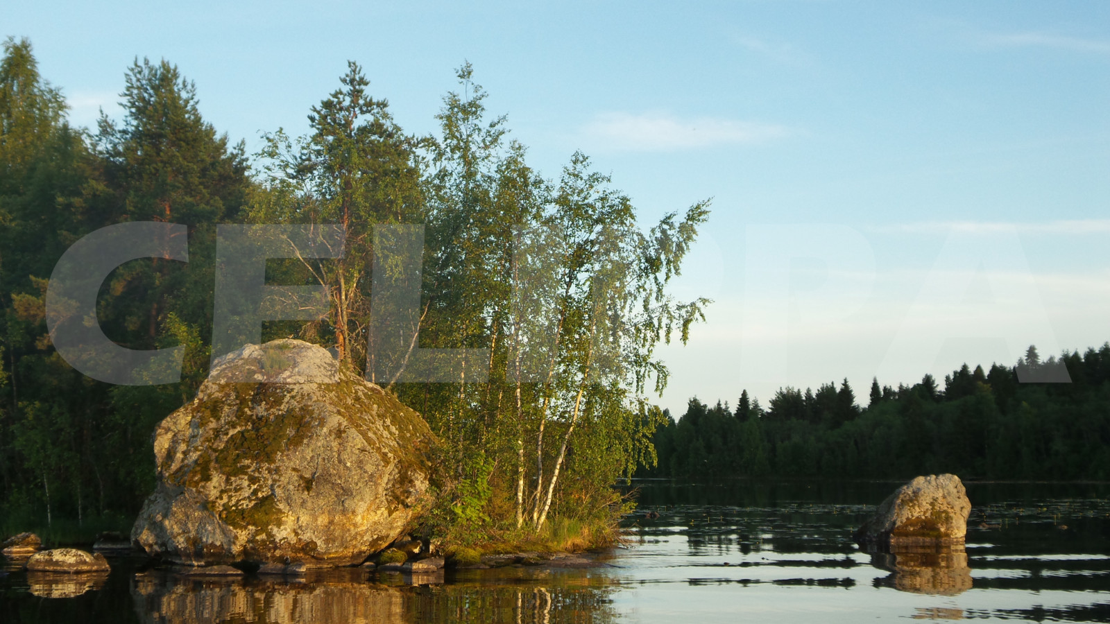 Photo Digital Product Wallpaper Image Picture Background Desktop Art -Lake.Fores