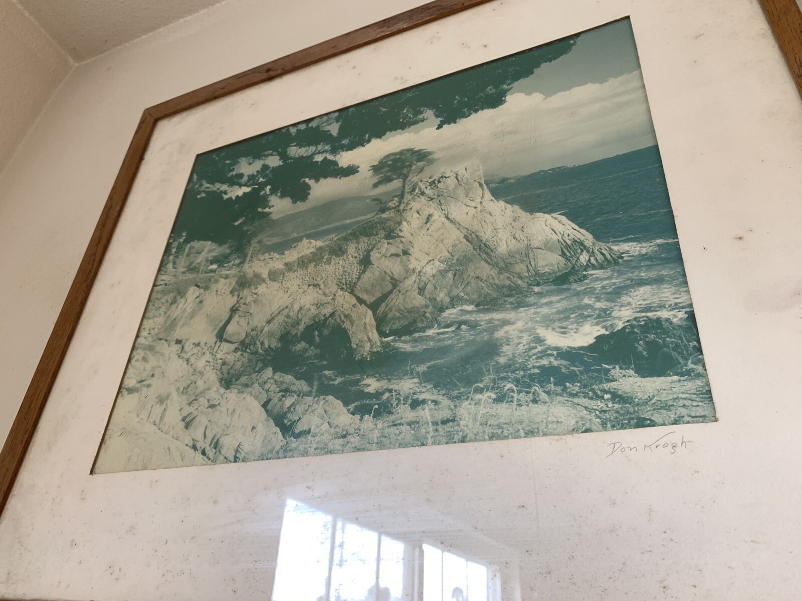 Don Krogh Monterey Cypress Pebble Beach California Photo MID CENTURY Modern ERA