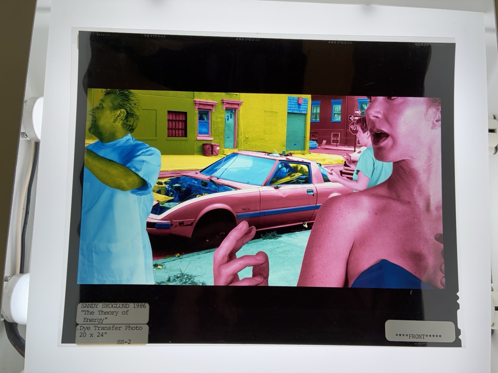 Sandy Skoglund Transparency Archive Lot Revenge Goldfish Radioactive Cats