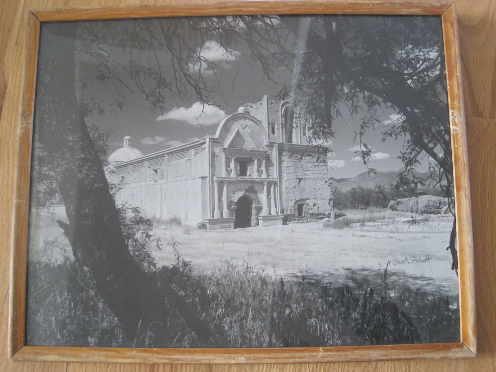 Chuck Abbott Photo Black & White Architecture Church w/ Large Tree 16″ x 20″