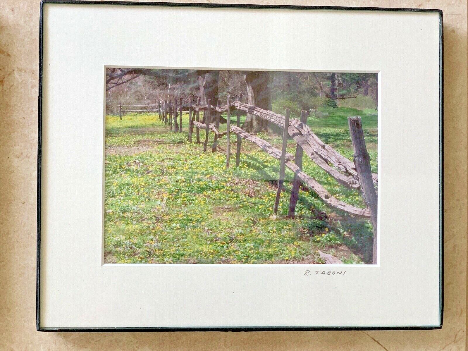 Signed Photo Framed Wall Art Fall Trees, Lake Ocean Boardwalk, Country Photo Art