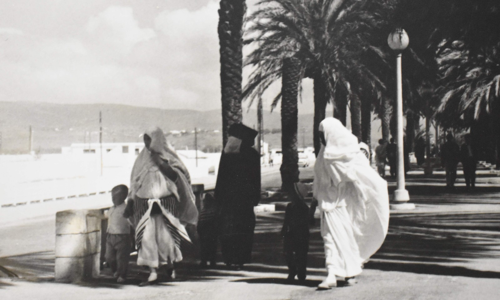 Vintage James W. Howlett Black and White Photograph, ‘Morrocan Palms’