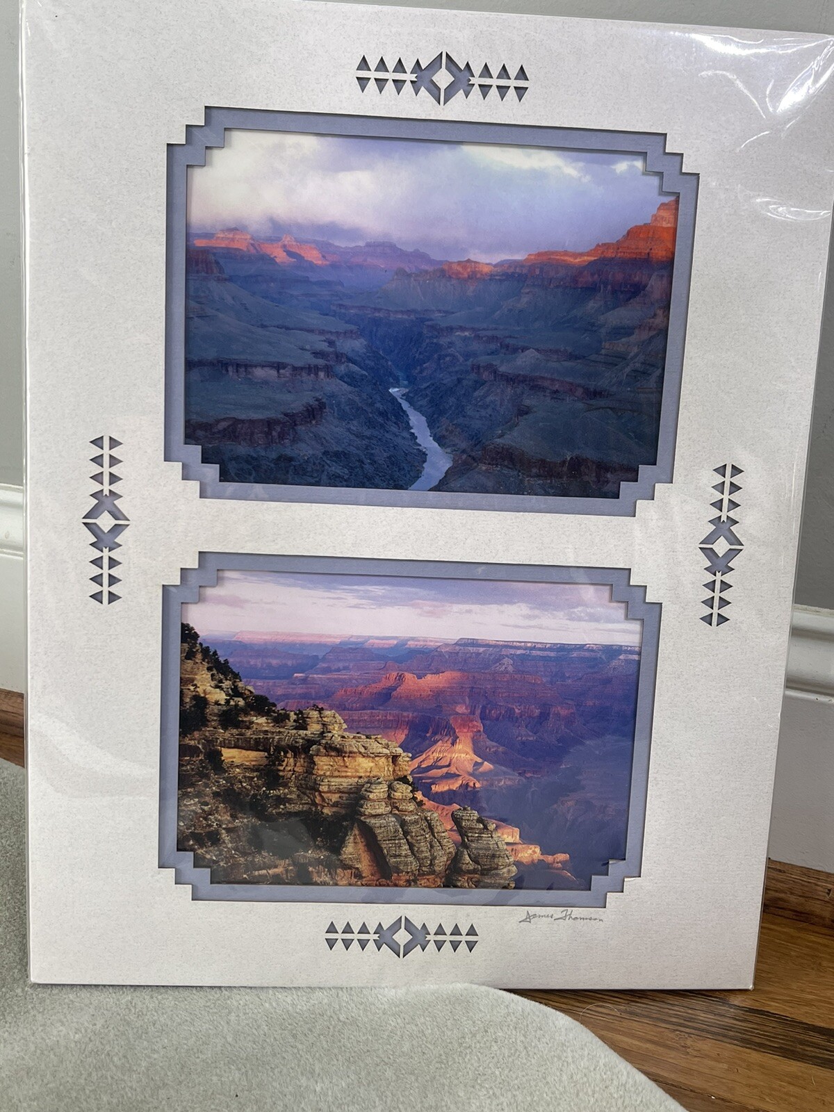 JAMES THOMSON Photography ~ Grand Canyon Desert Arizona ~ 2 Photo Matted 11×14