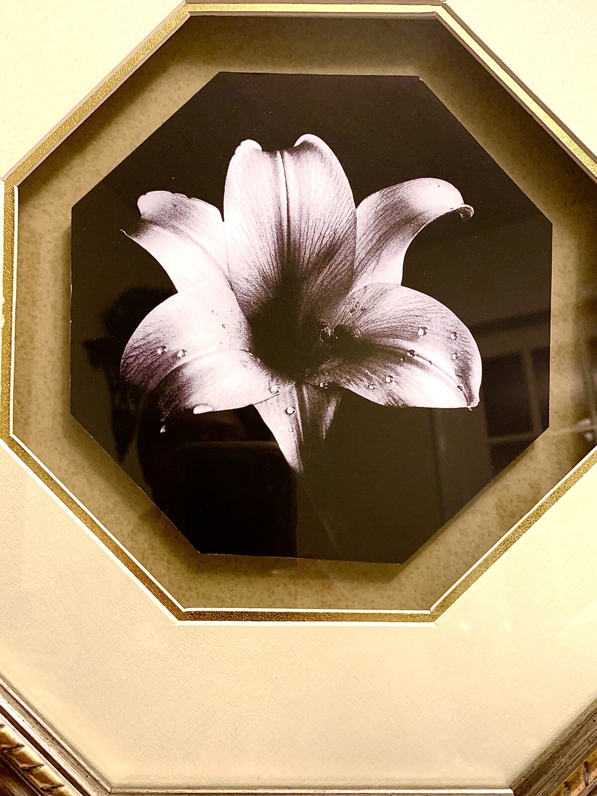 Beautiful Vintage Lily Black & White Octagon Matted Framed Art Print