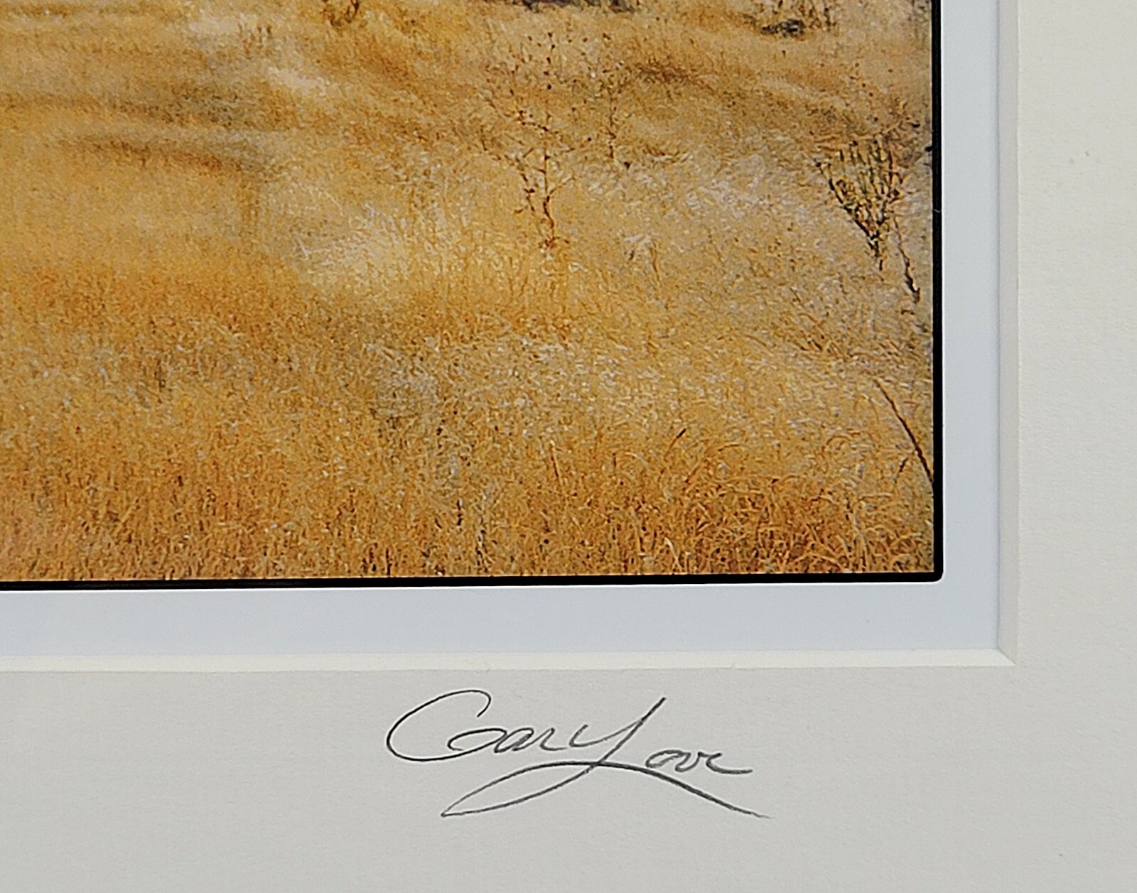 Gary Love Signed Open Edition “Copperhead Raod” Panoramic Photography Framed