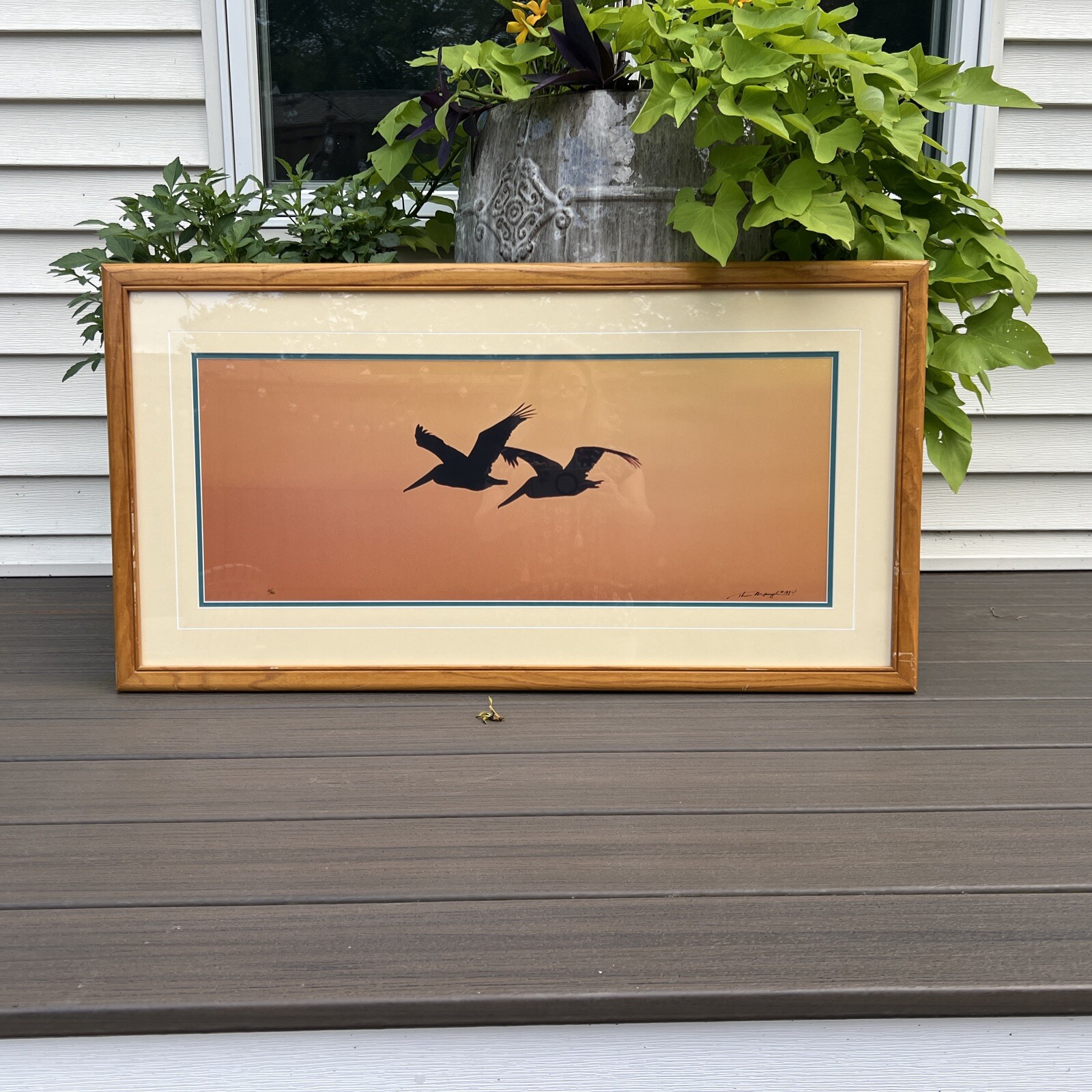 Thomas Mangelsen Signed Art Photo Ltd Pelicans Birds Wings At Dusk Numbered MCM