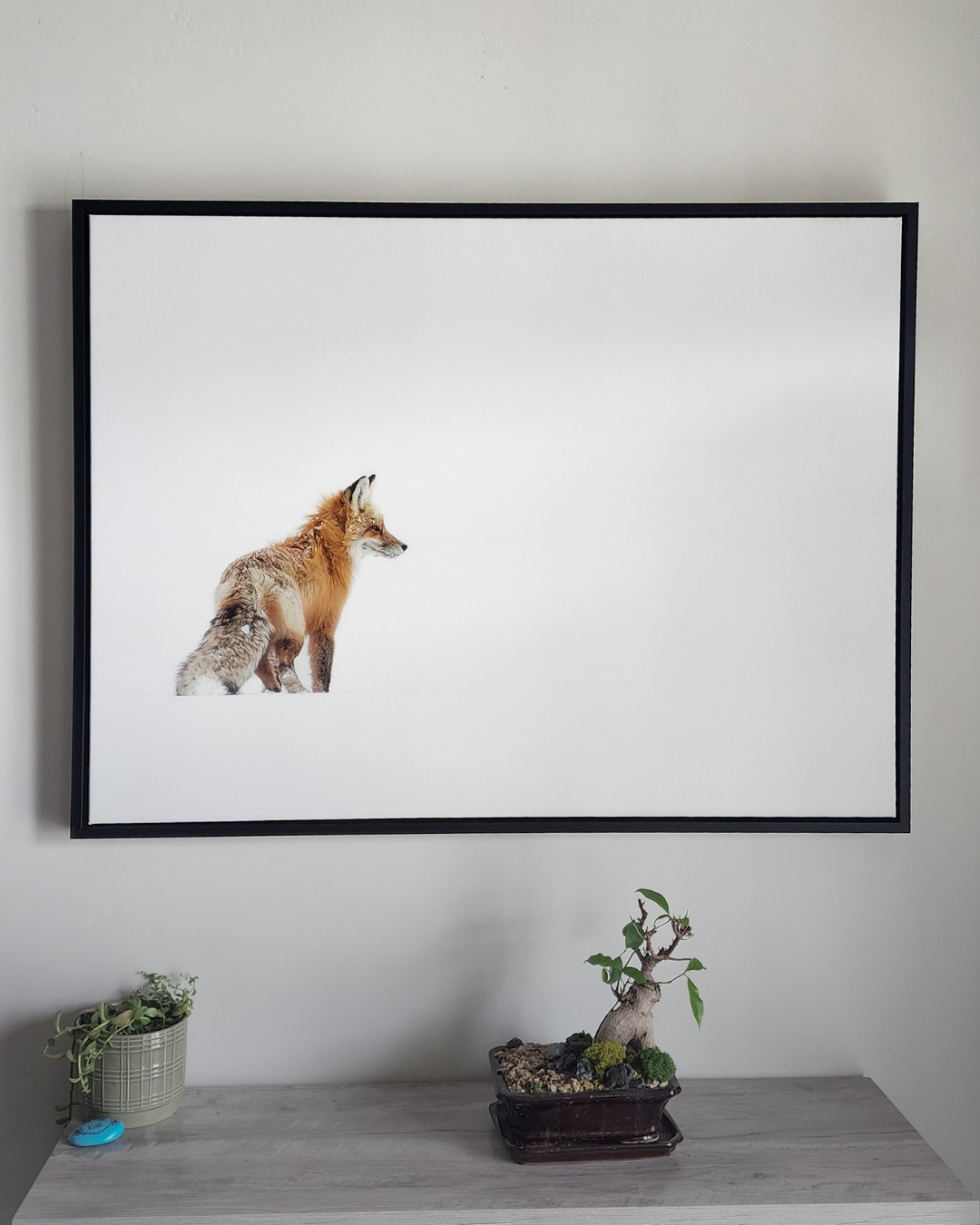 Red Fox in Yellowstone 40×30 inch Framed Canvas Wildlife Photography Print