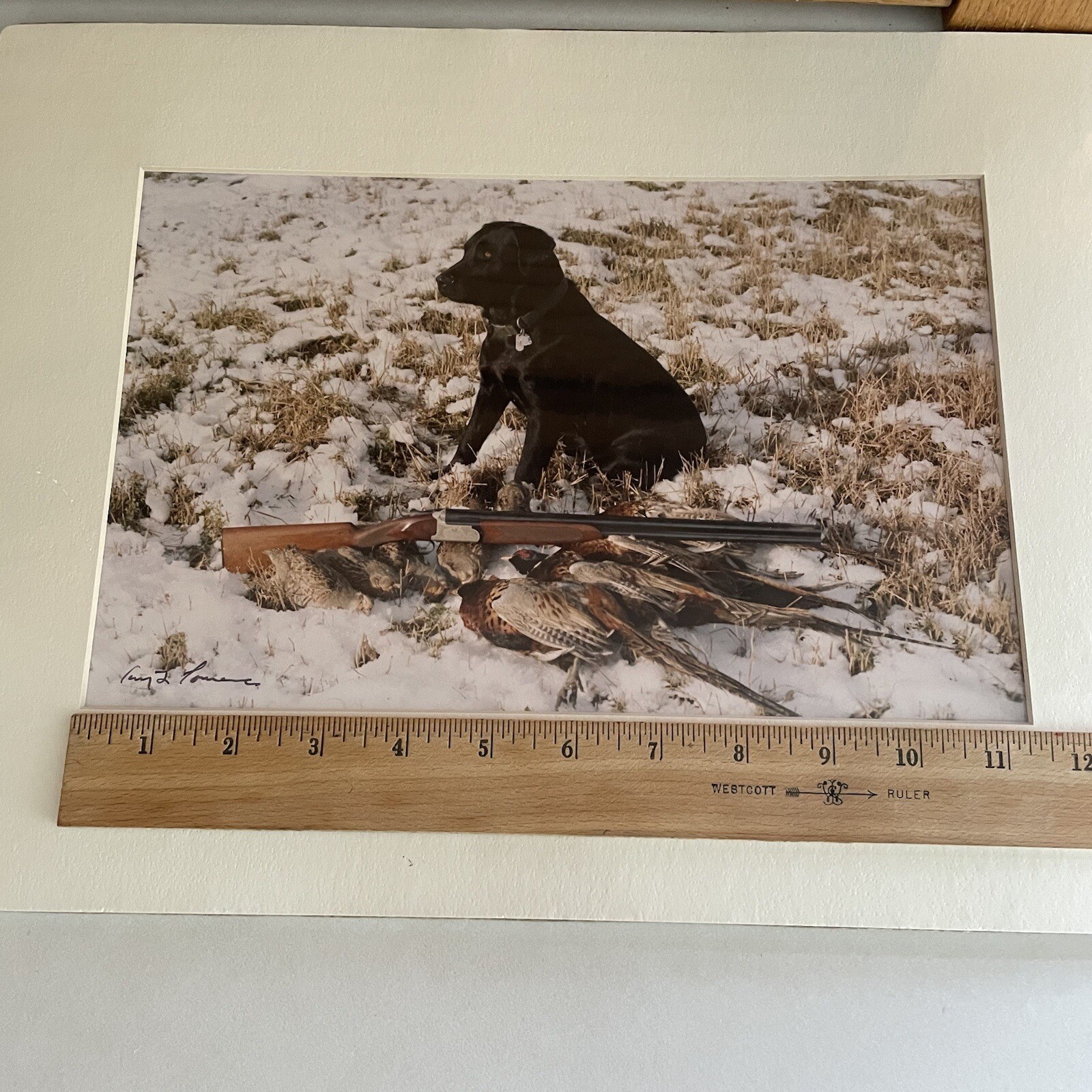 Gerry Lamarre Wildlife Photographer Print Black Lab Hunting Rifle Pheasant Snow