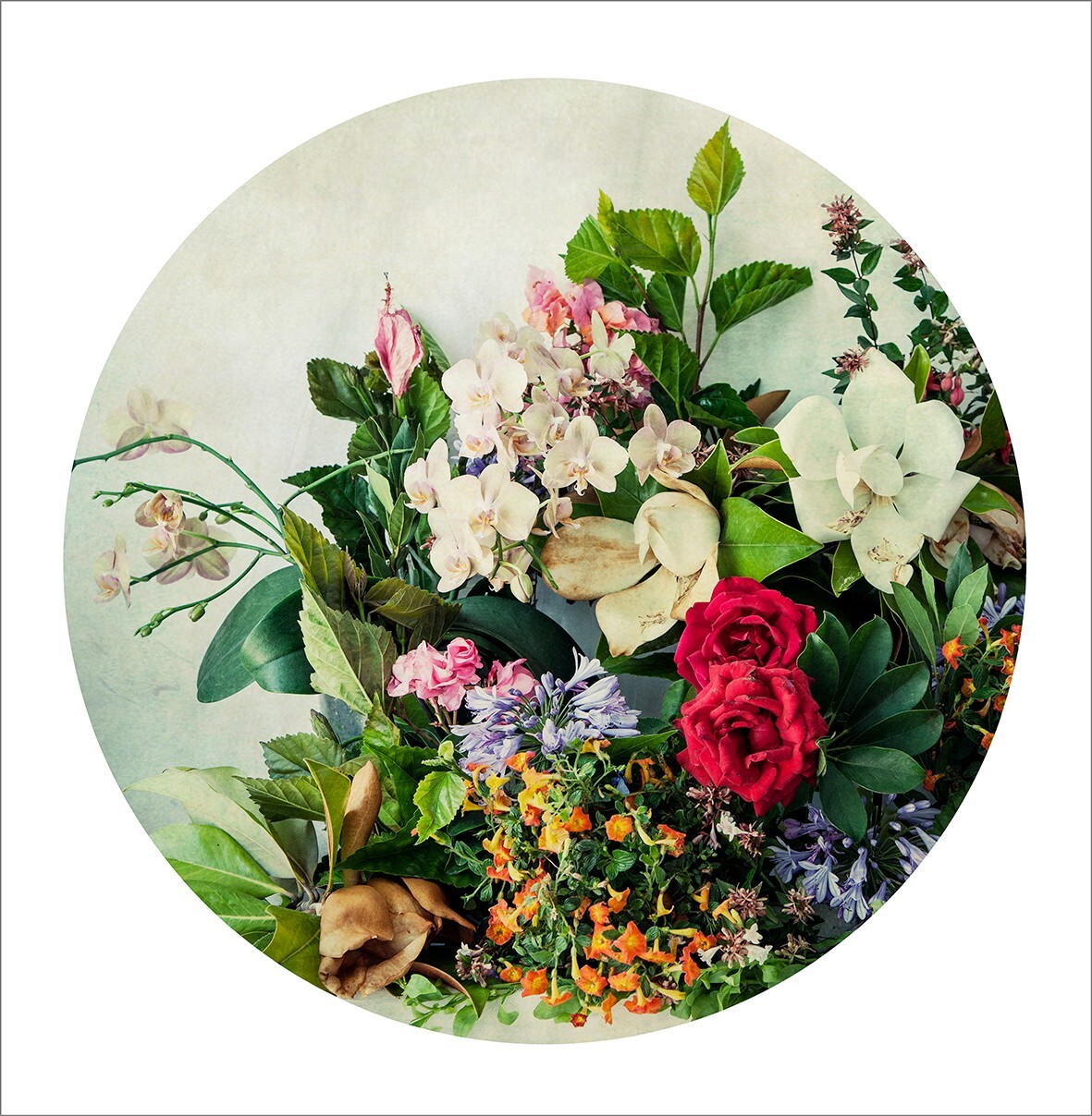 Secret garden – Fine art size 60 x 60 cm | Limited edition of 15 | Colorful