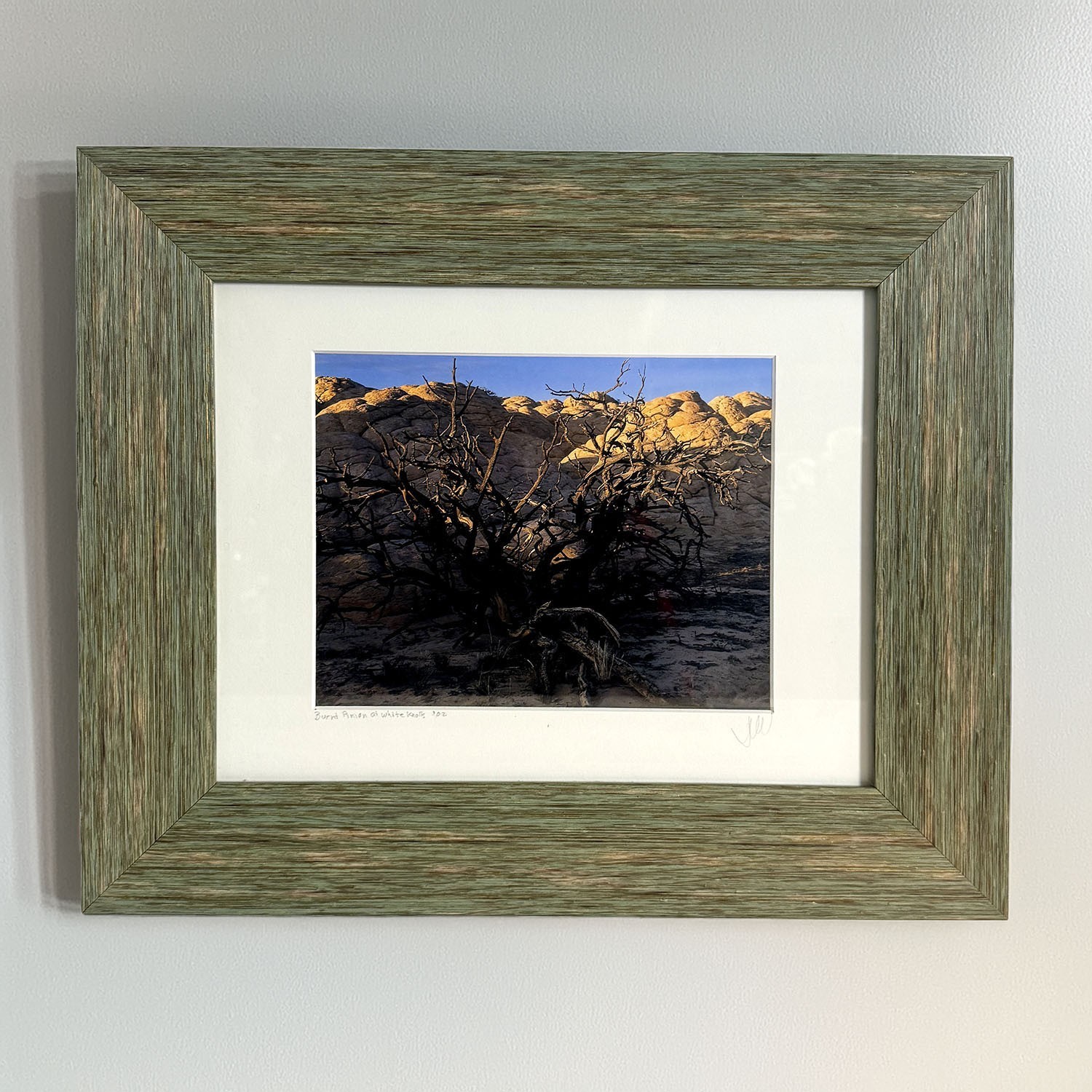 2002 Jim Witkowski 8×10 Color Photograph “Burnt Pinion at White Knolls” Arizona