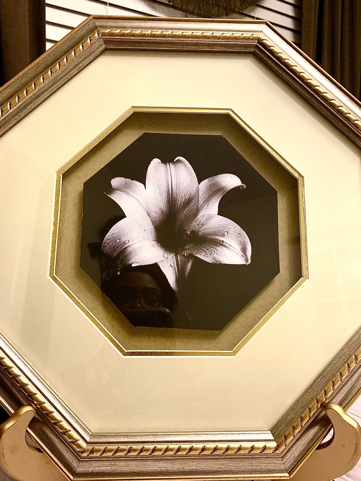 Beautiful Vintage Lily Black & White Octagon Matted Framed Art Print