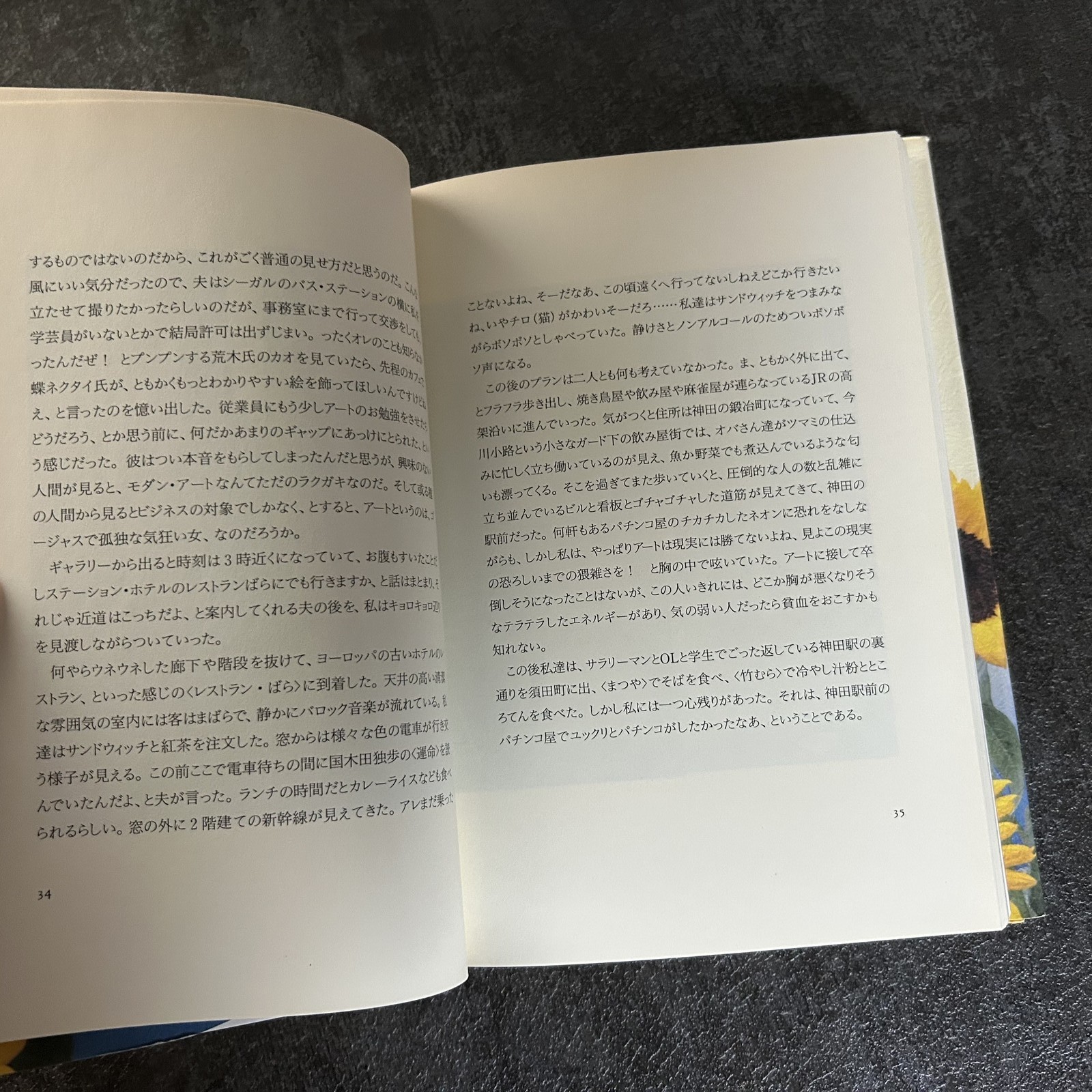 USED NOBUYOSHI & YOKO ARAKI TOKYO BIYORI JAPAN PHOTO BOOK Japanese