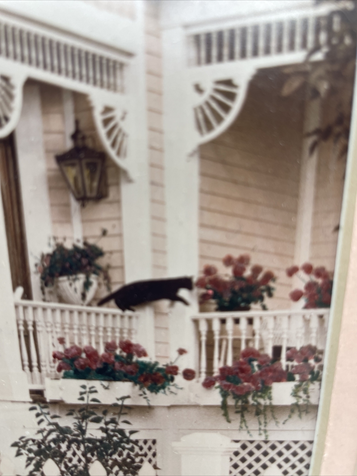 Victorian House Cat’s Away Matted Photo Print SIGNED Marylyn # 17/500 Pink&Roses