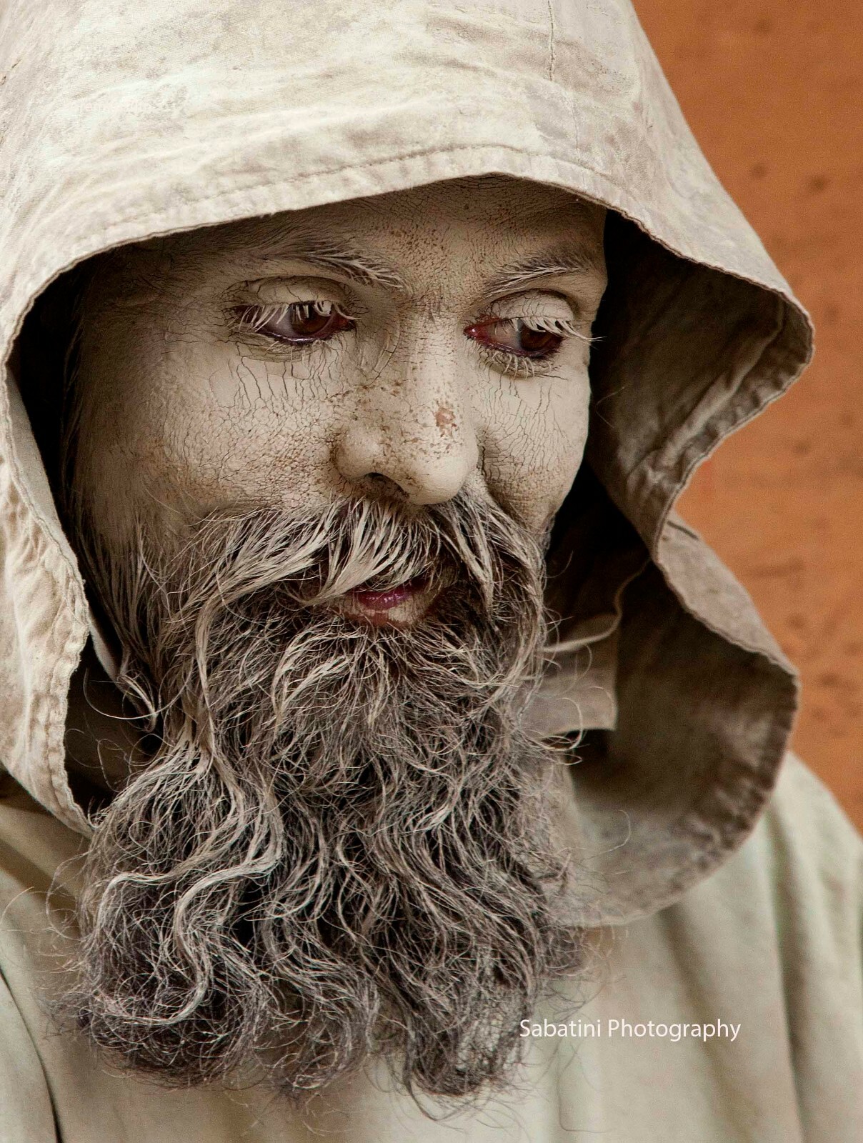 Street Performer, Assisi, Italy 11 x 14 Print Metallic Paper