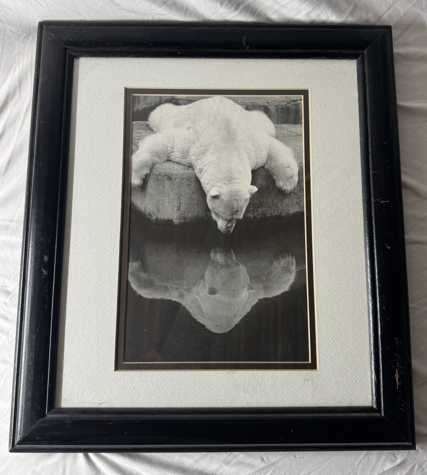 Black & White Polar Bear Portrait Photograph Wall Art, Matted & Framed