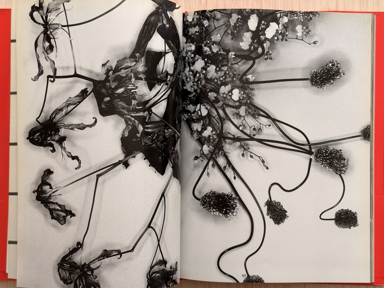 🎈SIGNED Nobuyoshi Araki – EROTOS, First Edition 1993, Japan, HC, LIBRO, SupRARE