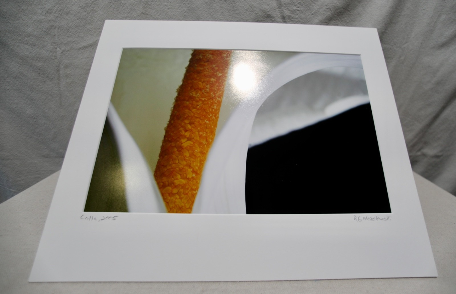 Original Photography Art Print “Calla”
