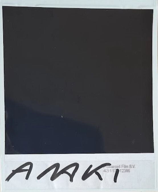 NOBUYOSHI ARAKI *Cosplay*POLAROID ORIGINAL SIGNED & CERTIFIED BY ARTIST