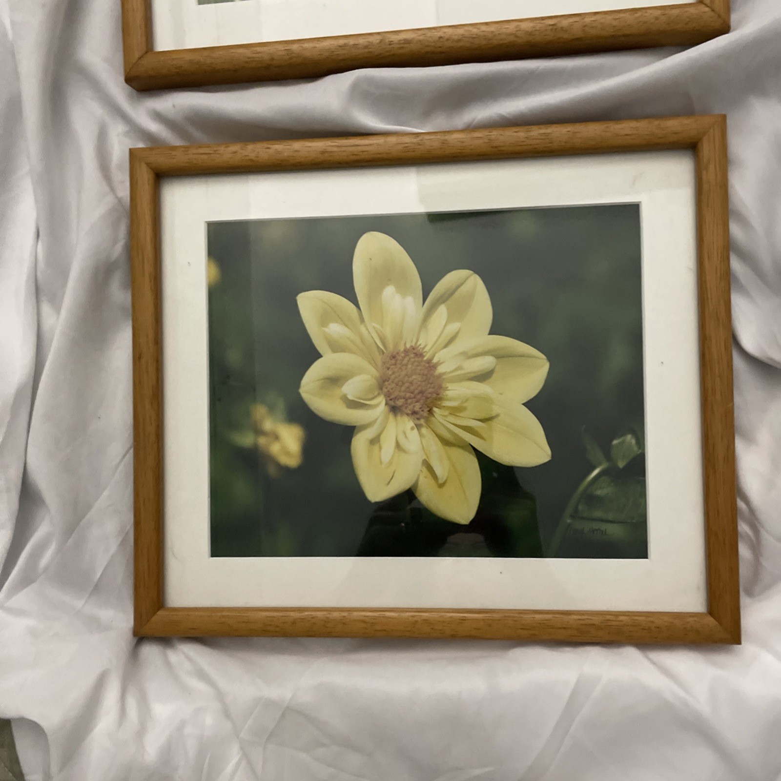 Framed & Matted Sunflower Dahlia Photo Art Vintage 1980’s Signed Caryl Heral