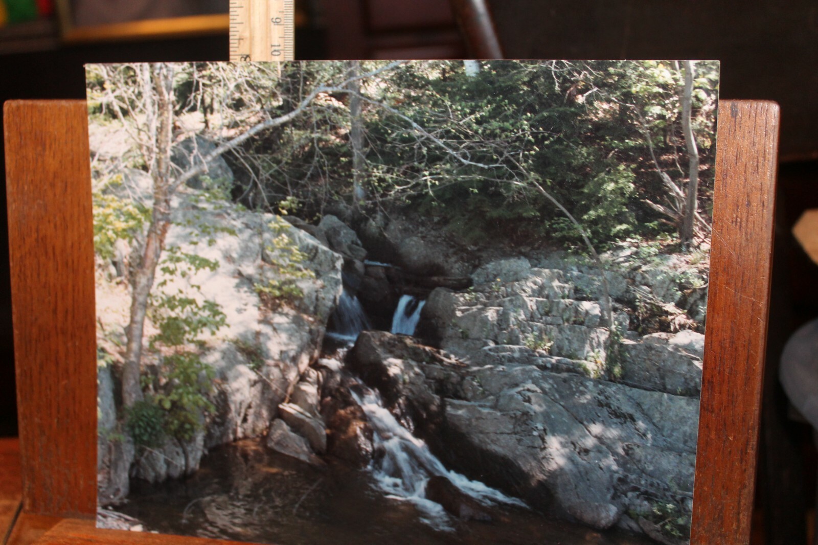 Vintage 8×10 Photo W. Beebe East Tennessee Mountain Stream