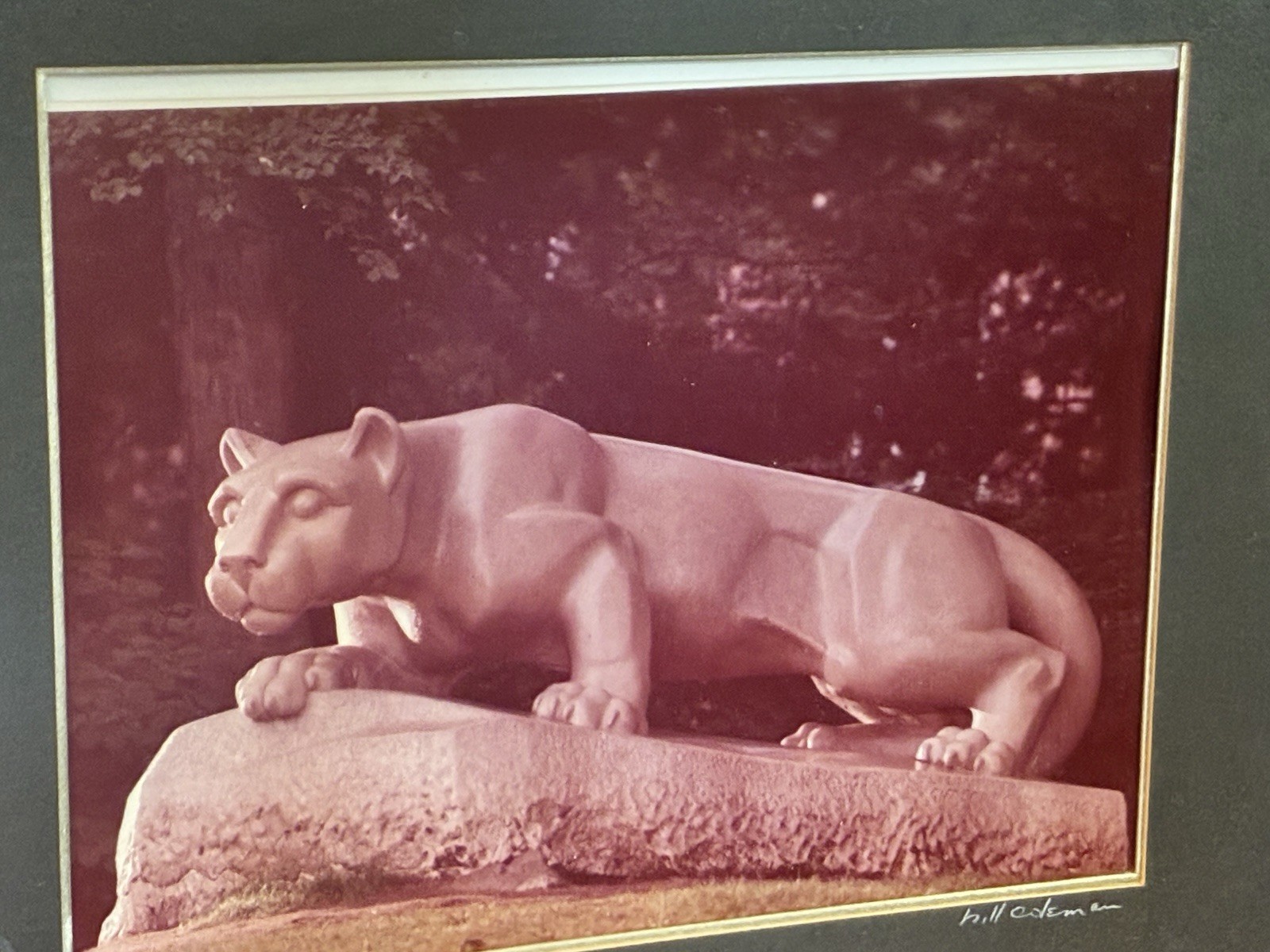 11″x14″ Photograph Nittany Lion Statue by Bill Coleman in 24″x28″ Wooden Frame