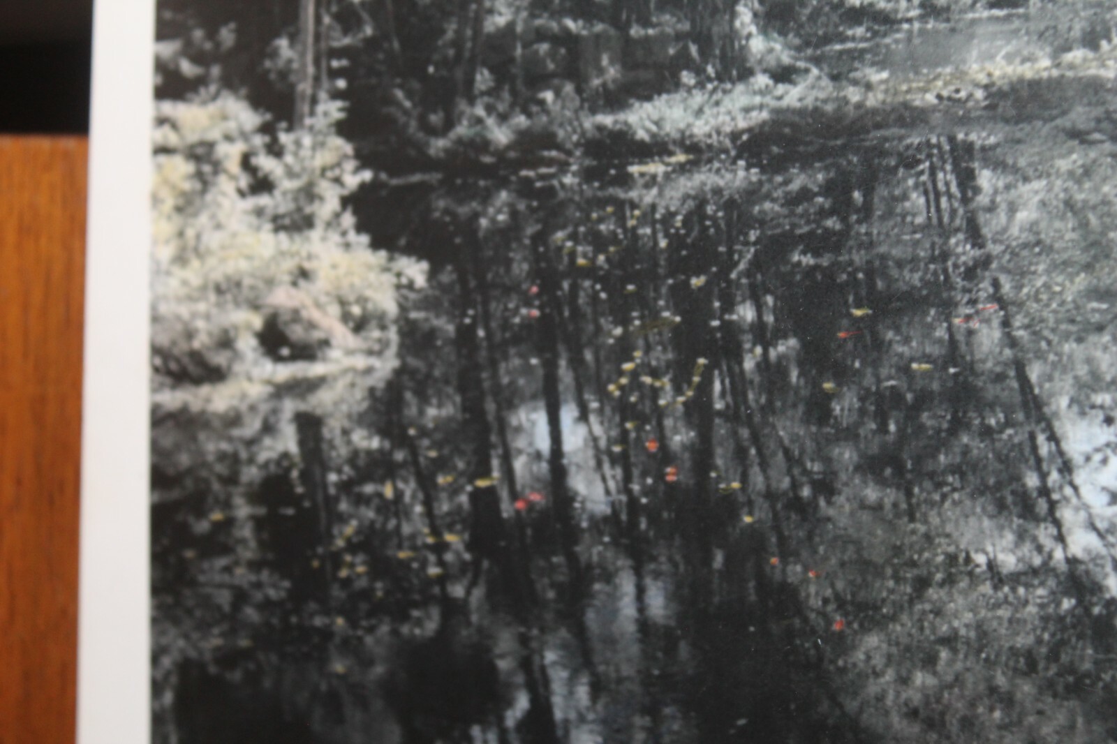 Vintage 8×10 Photo W. Beebe East Tennessee Hand Tinted Pond Woods