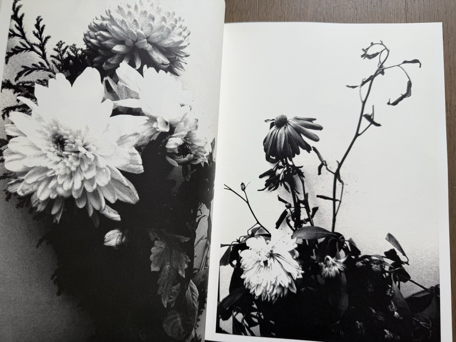 🎈SIGNED w Drawing! Nobuyoshi Araki – HANA-JINSEI, 2002 Japan Limited Ed, Unique