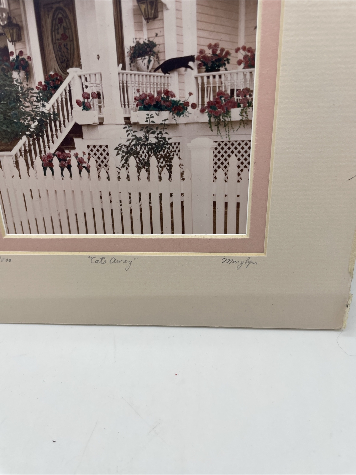 Victorian House Cat’s Away Matted Photo Print SIGNED Marylyn # 17/500 Pink&Roses