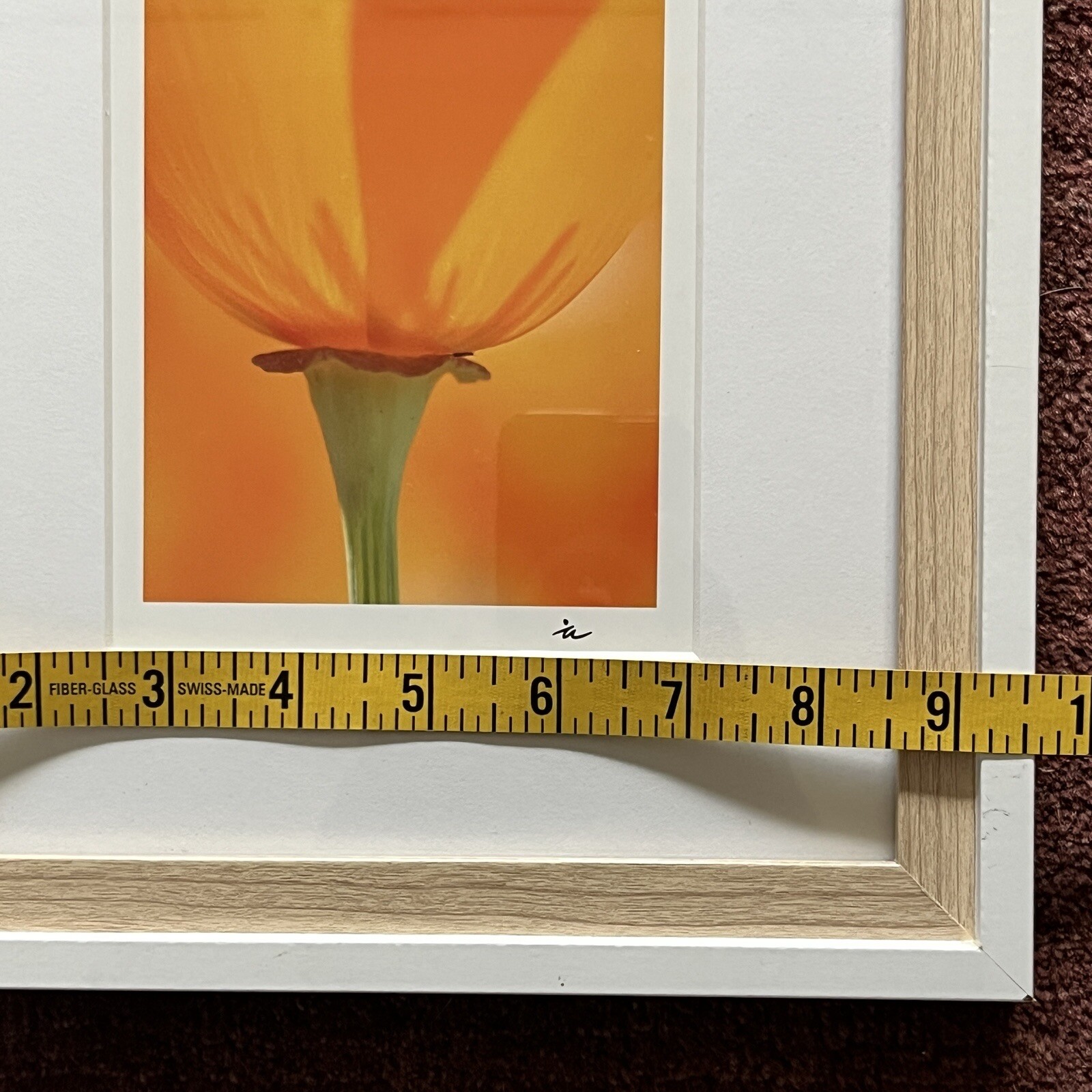 California Poppy Flower Art Photograph Signed & Framed
