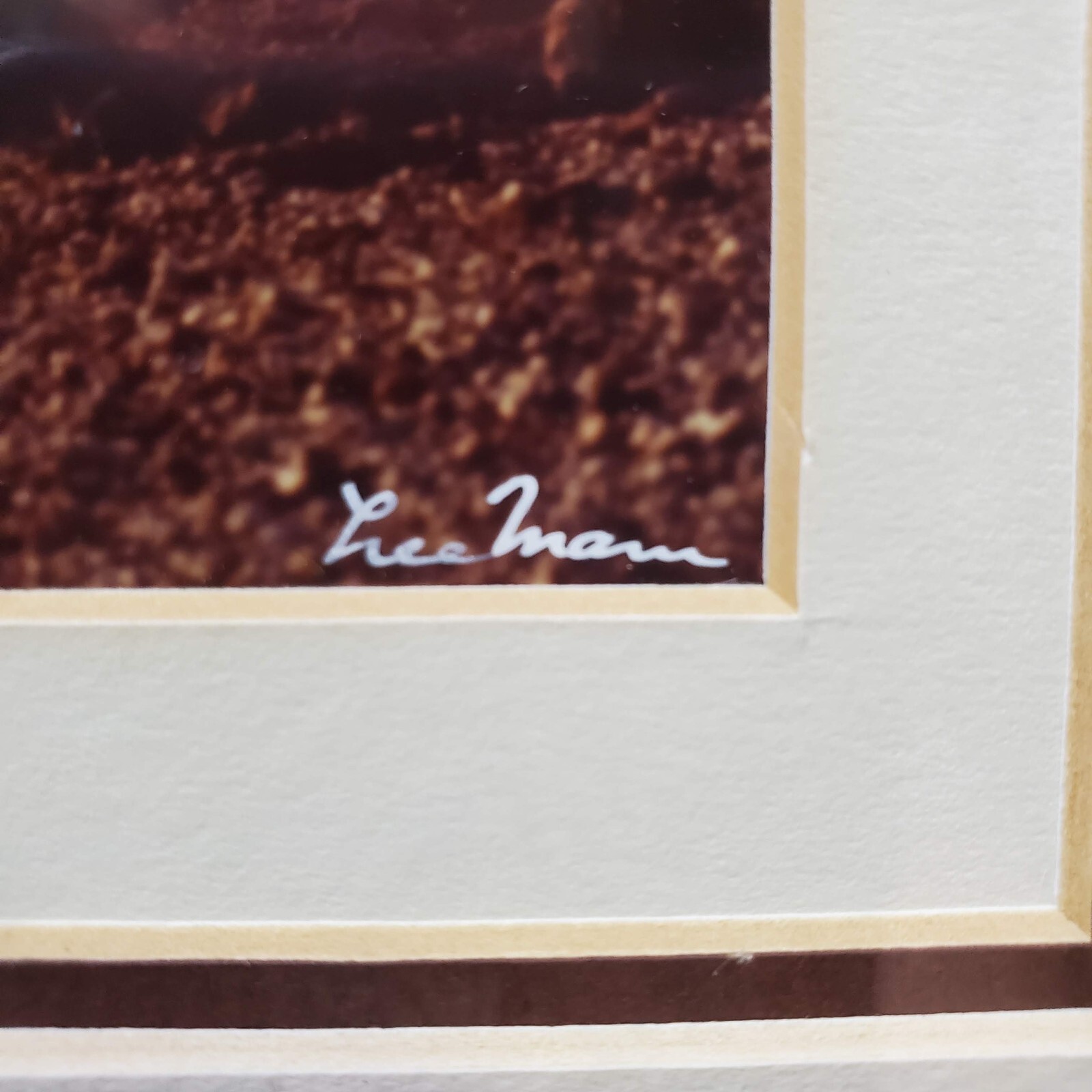 Vintage Matted and Signed Photograph Lee Mann Mountain Scene 15.5 x 13