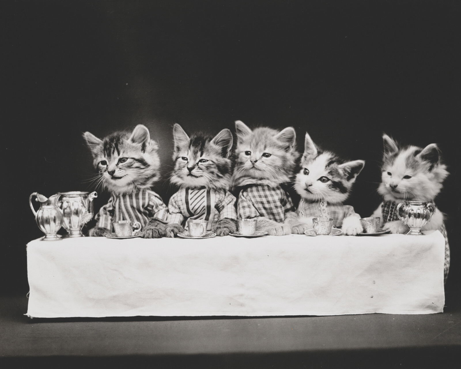 cat kitten kitty art print Harry Whittier Frees 8×10 vintage photo picture #10
