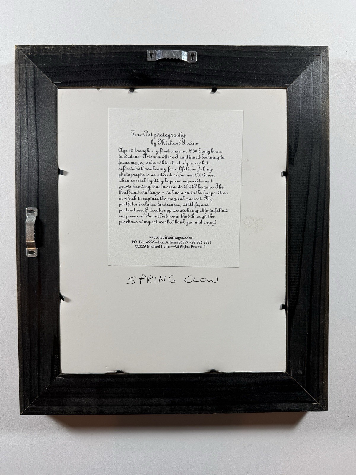 Signed Michael Irvine Photograph “Spring Glow” Framed – Sedona, Arizona