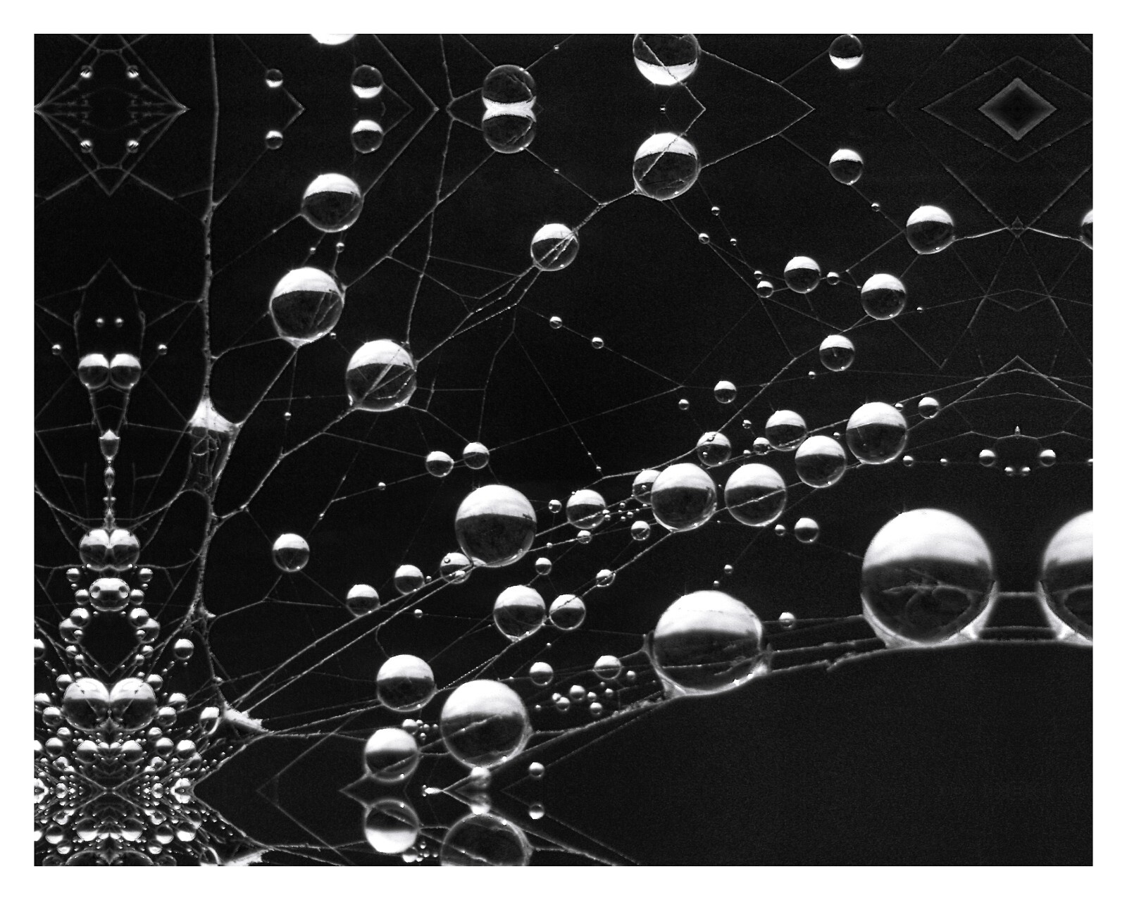 Photographs printed as 18″x24″ gallery-wrap canvases, 1.5″ deep bars, $150