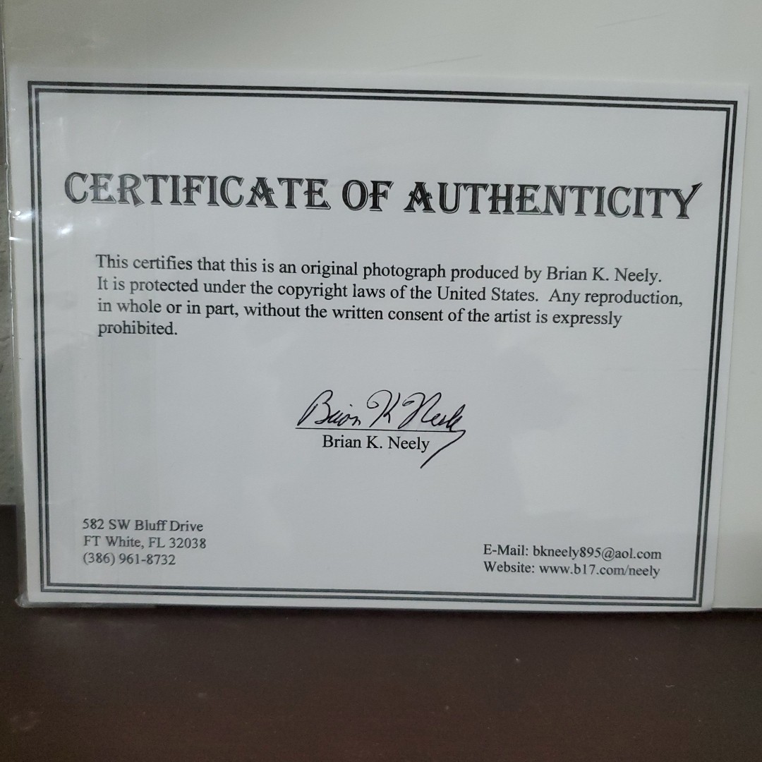 Brian K. Neely Photograph Of a Lion Signed 160/200 W Certification