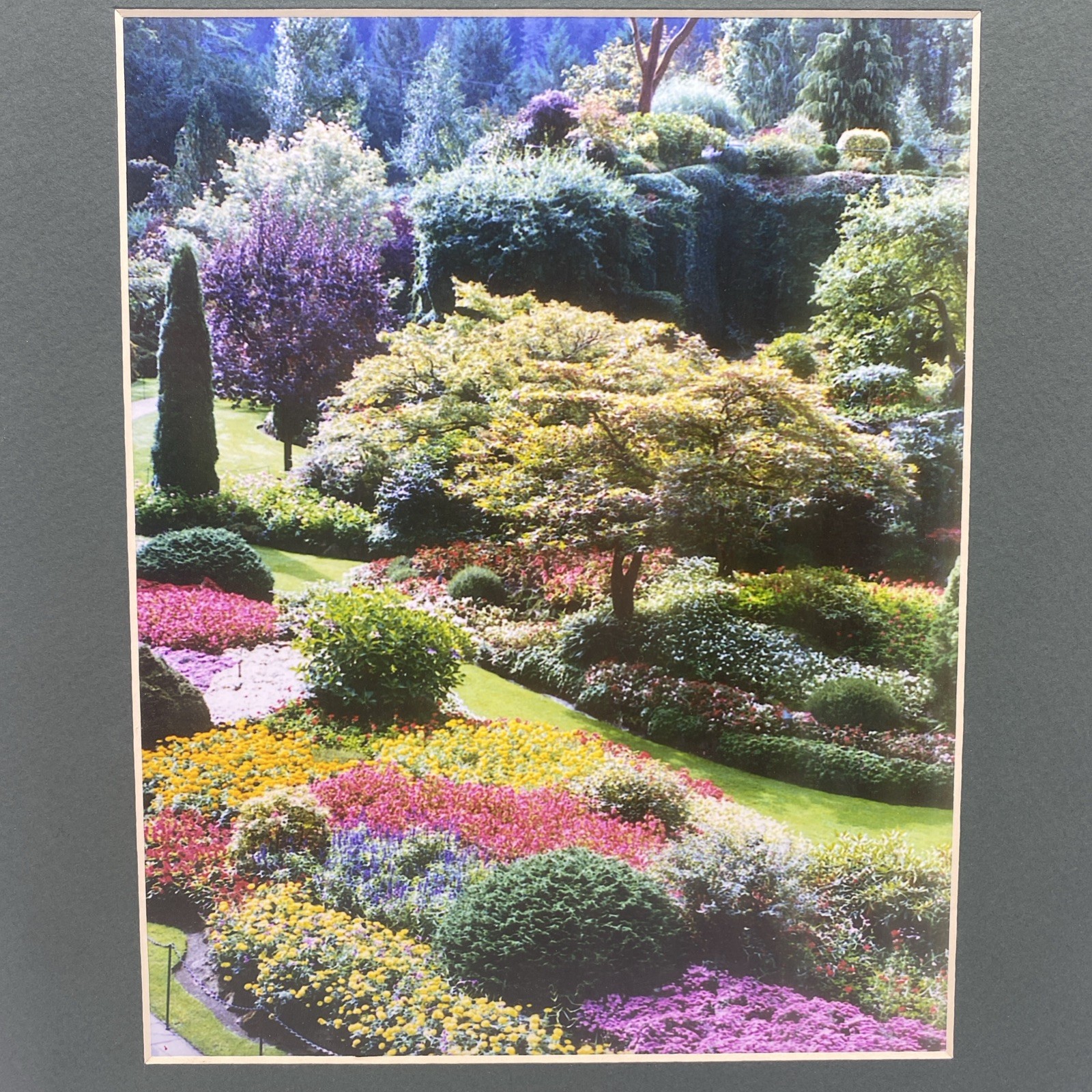 Matted Flower Garden Photo Print 11 X 14 Wall Art Gallery Decor