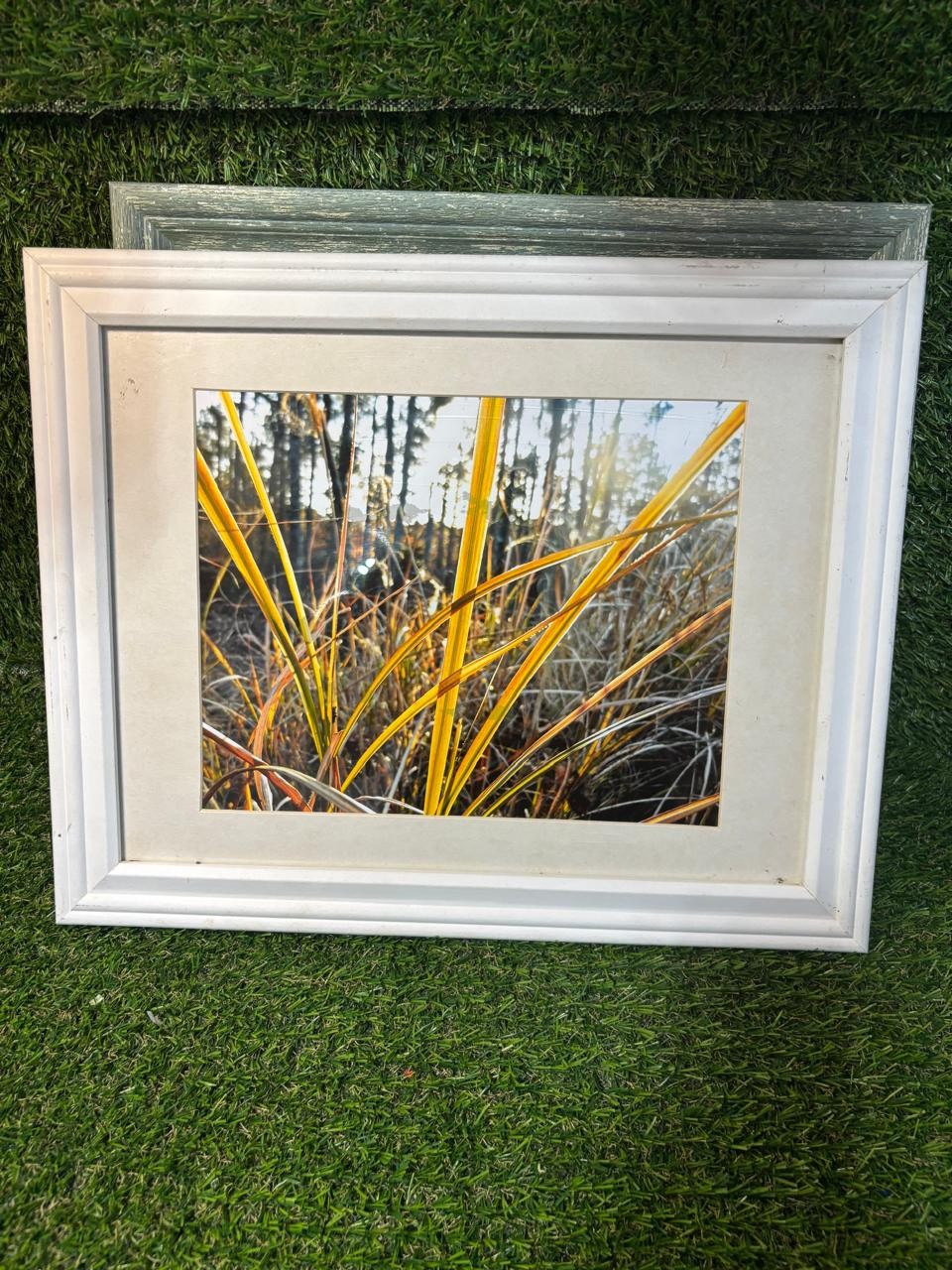 Michaels White Framed Nature Photography 11×14 Gold Grass Forest Wall Art
