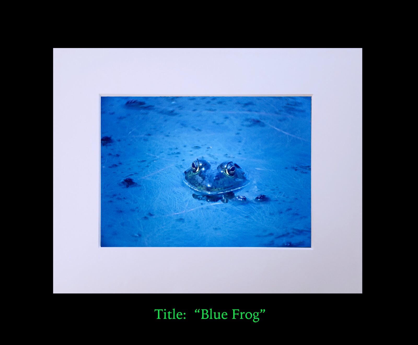 matted photograph, 5″x7″ print, mounted 3/16″ foam with 8″x10″ single white mat