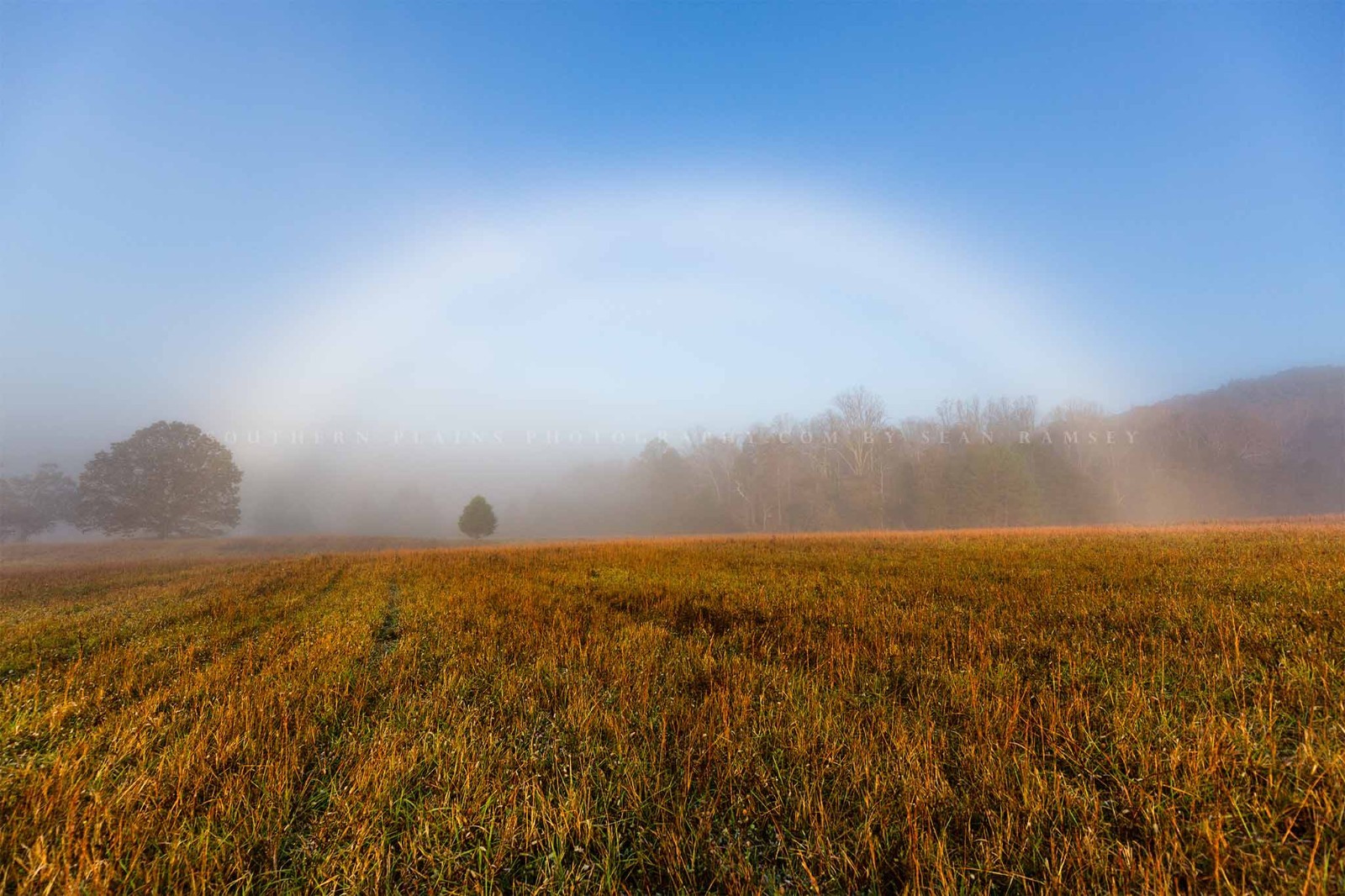 Fog Bow Photography Print: Tennessee Great Smoky Mountains Landscape Photo