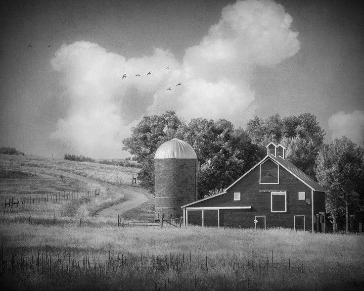 Fine Art Photography, Remembering Mr. Parish, Colorado, 8×10, Black & White