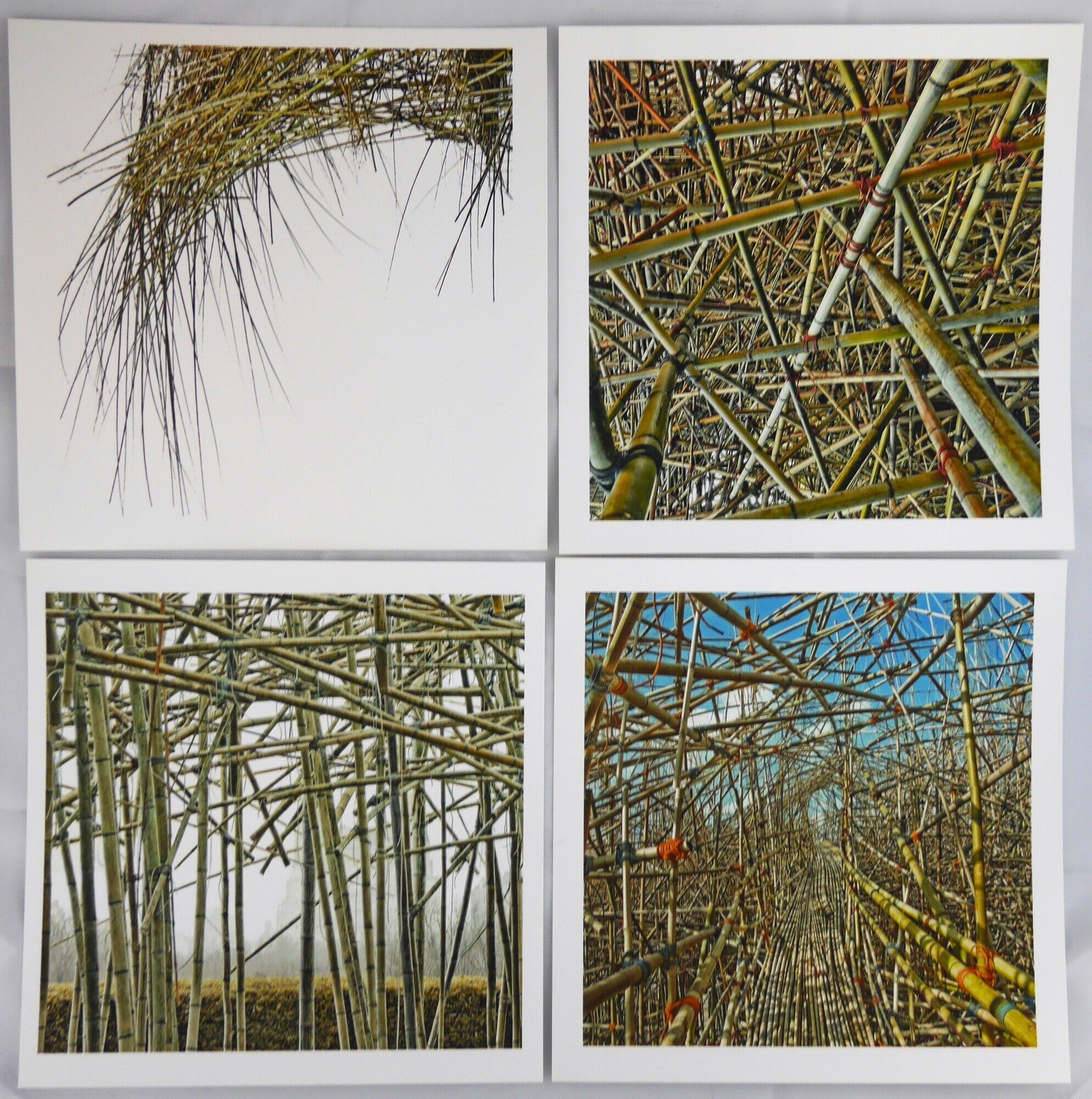 Doug Starn, Mike / Big Bambu SIGNED SET OF 4 PRINTS EACH 8 x 8 1st Edition 2011