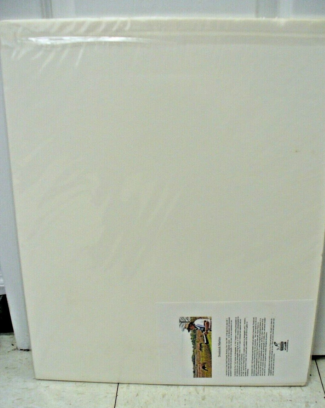 MATTED PHOTOGRAPHY Fishen Great Blue 2 in Paynes Prairie By Dom Martino 16x20in