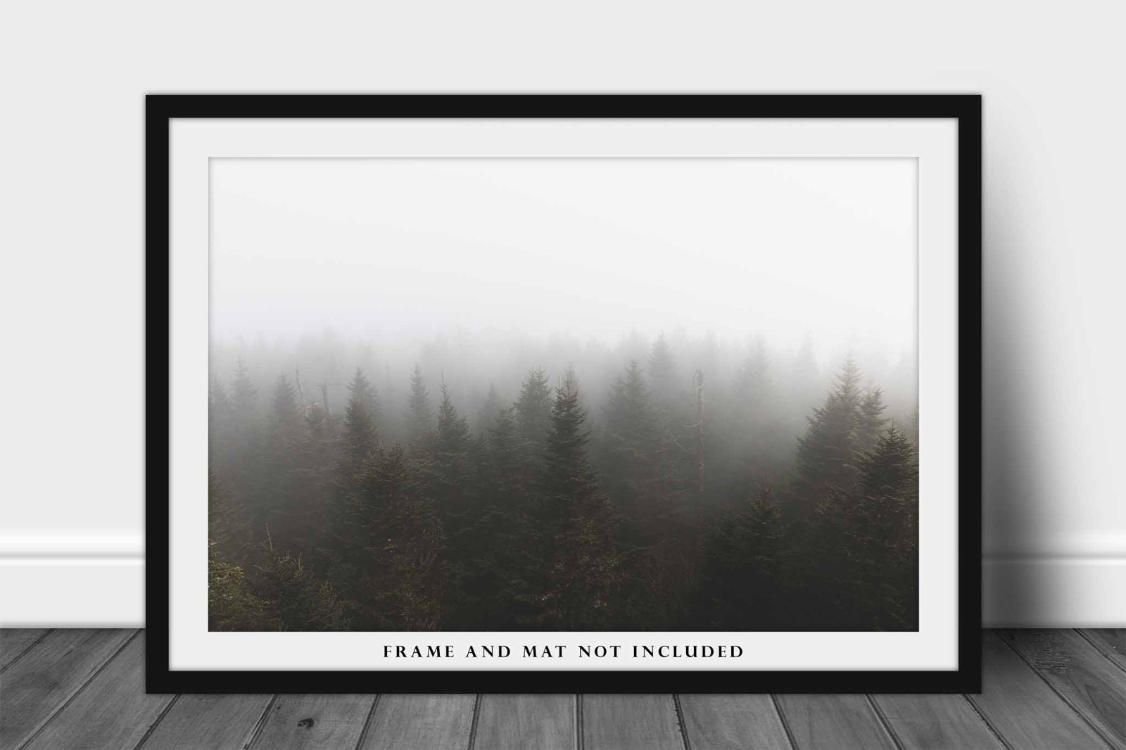 Forest Photography Print: Tennessee Great Smoky Mountains Clingmans Dome Photo
