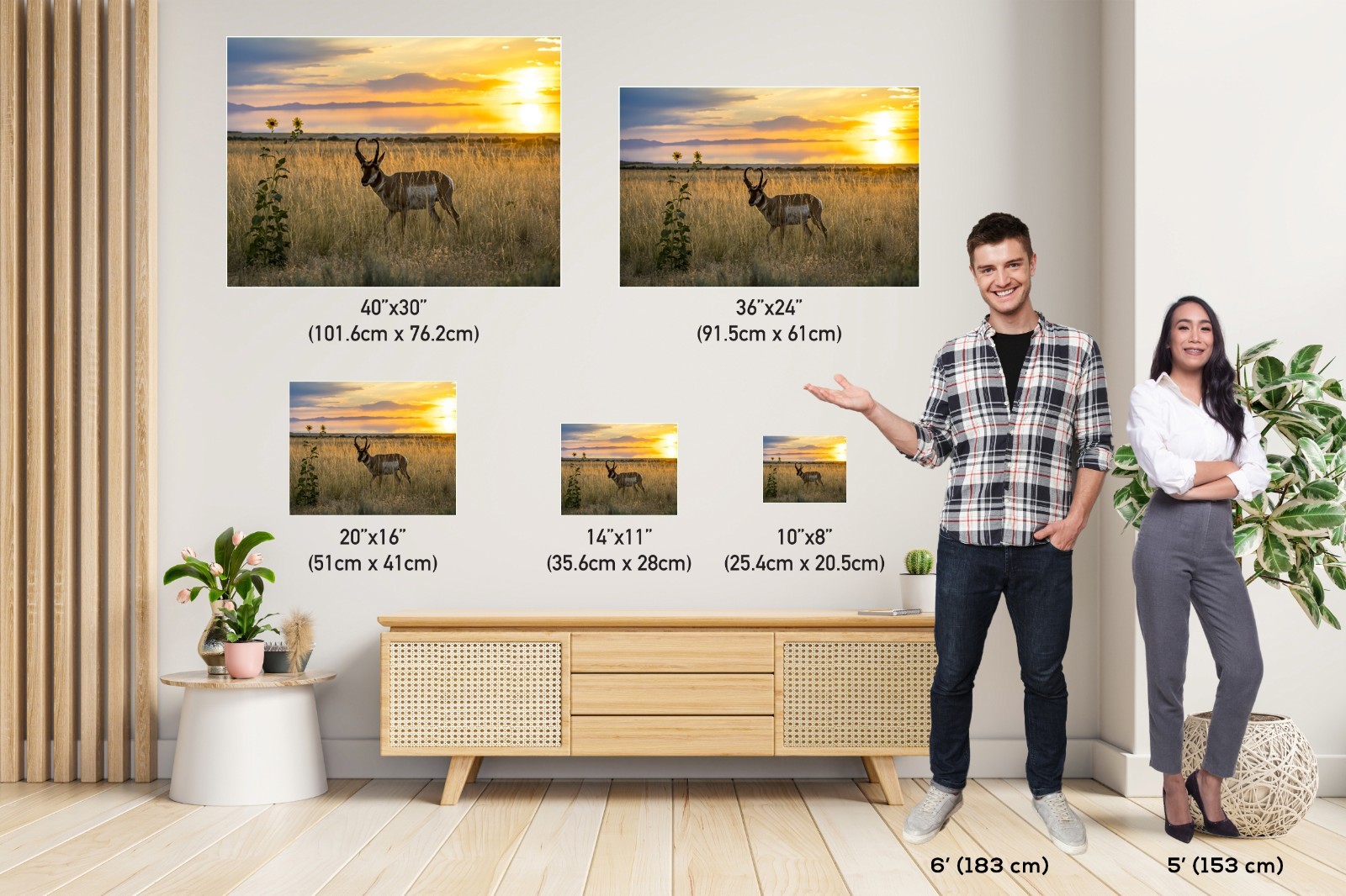 Antelope Island Pronghorn: Utah Sunset Wildlife Photography Wall Art