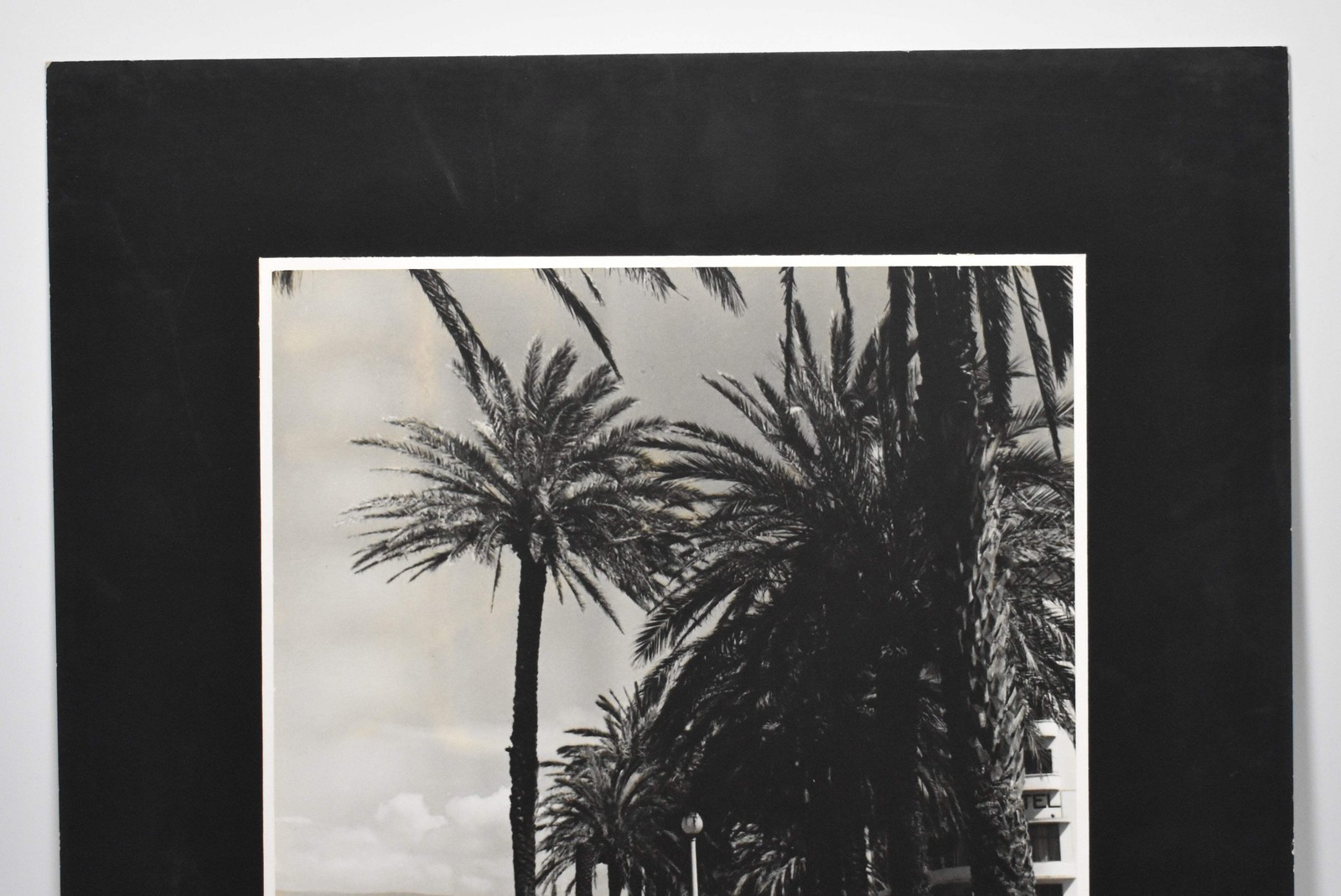 Vintage James W. Howlett Black and White Photograph, ‘Morrocan Palms’