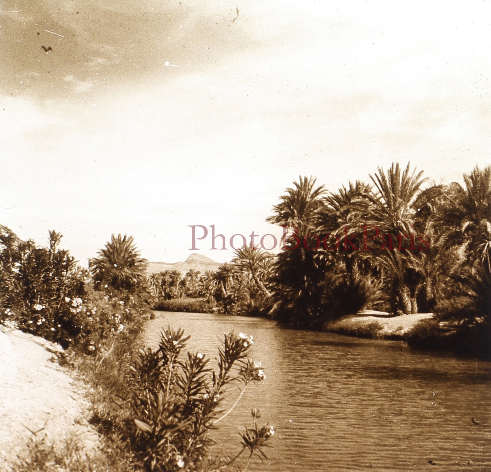 MAROC Taghjijt 1939 Photo Glass Plate Stereo Vintage P30L5n14