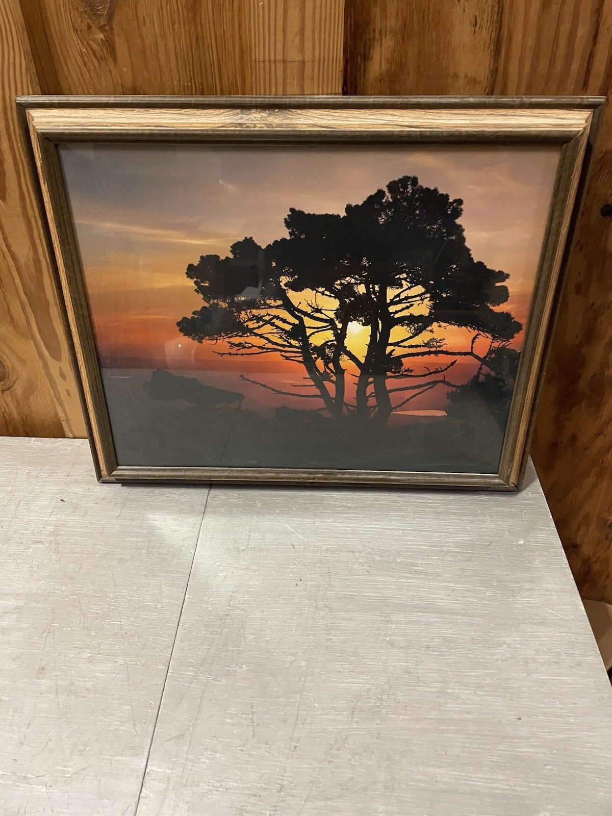 Nature Photography Print -Vintage Picture of Tree in Sunset 19” H x 22” L