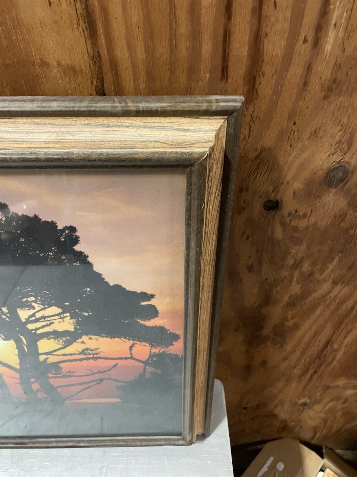 Nature Photography Print -Vintage Picture of Tree in Sunset 19” H x 22” L