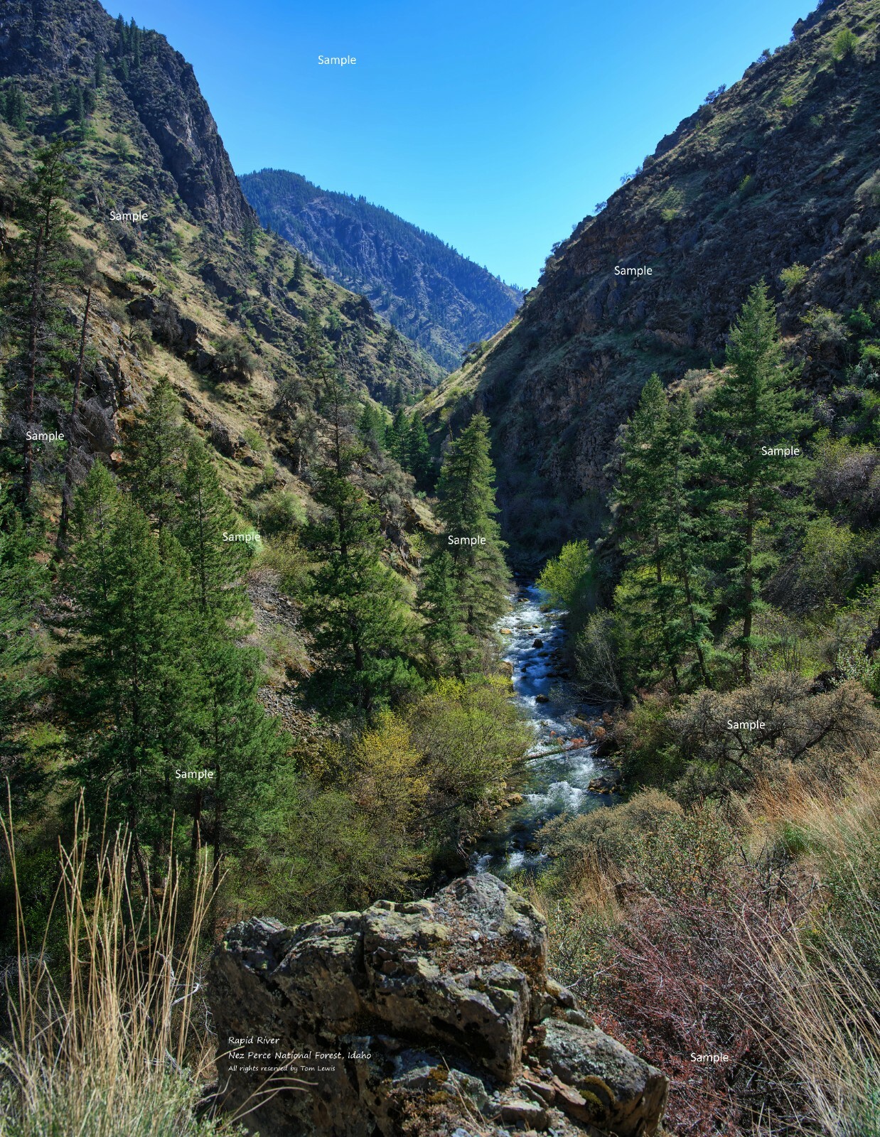 Rapid River Riggins Idaho Nez Perce National Forest Landscape Photo Print RR14