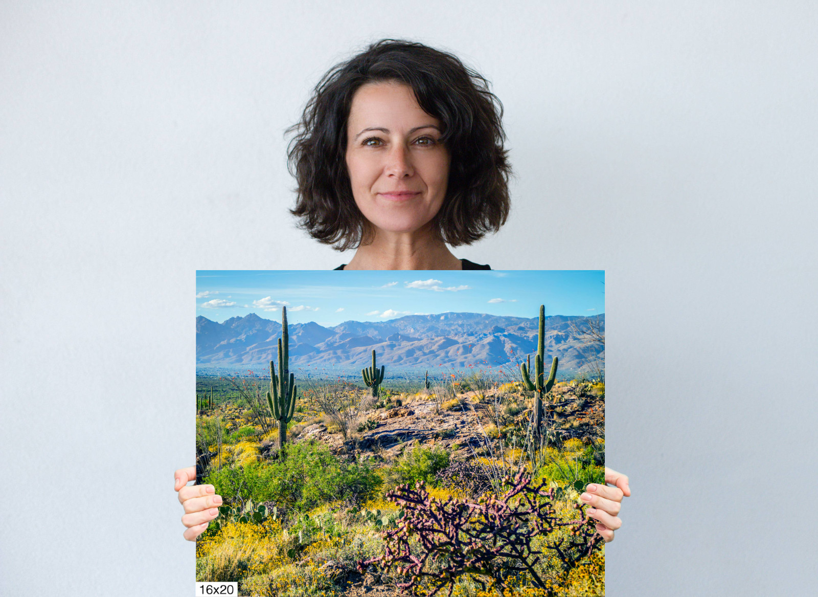 Desert Tapestry: Saguaro National Park East Arizona Cactus Desert Wall Art